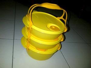 carry-all-bowl-dychana-tupperware-promo-ready-stock-bulan-november-desember-2012-7-sms-085648545252.jpg